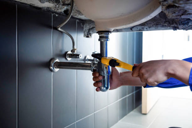 Professional Plumbing Services in Howard City, MI